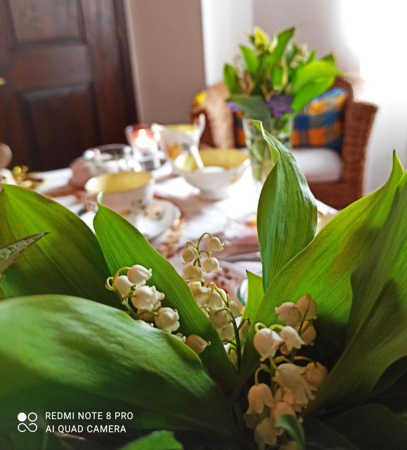 B&B Va...Lentina Piavata Ngoại thất bức ảnh