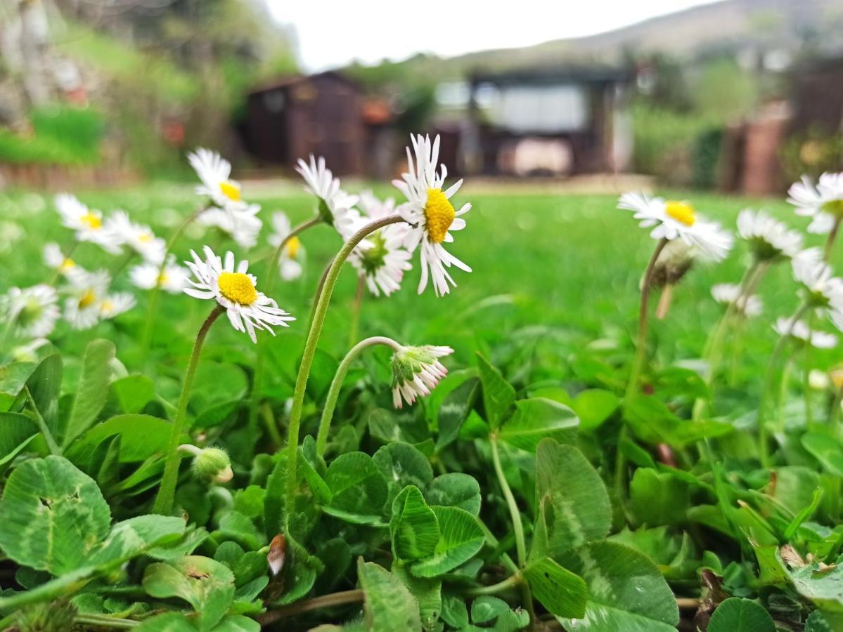 B&B Va...Lentina Piavata Ngoại thất bức ảnh